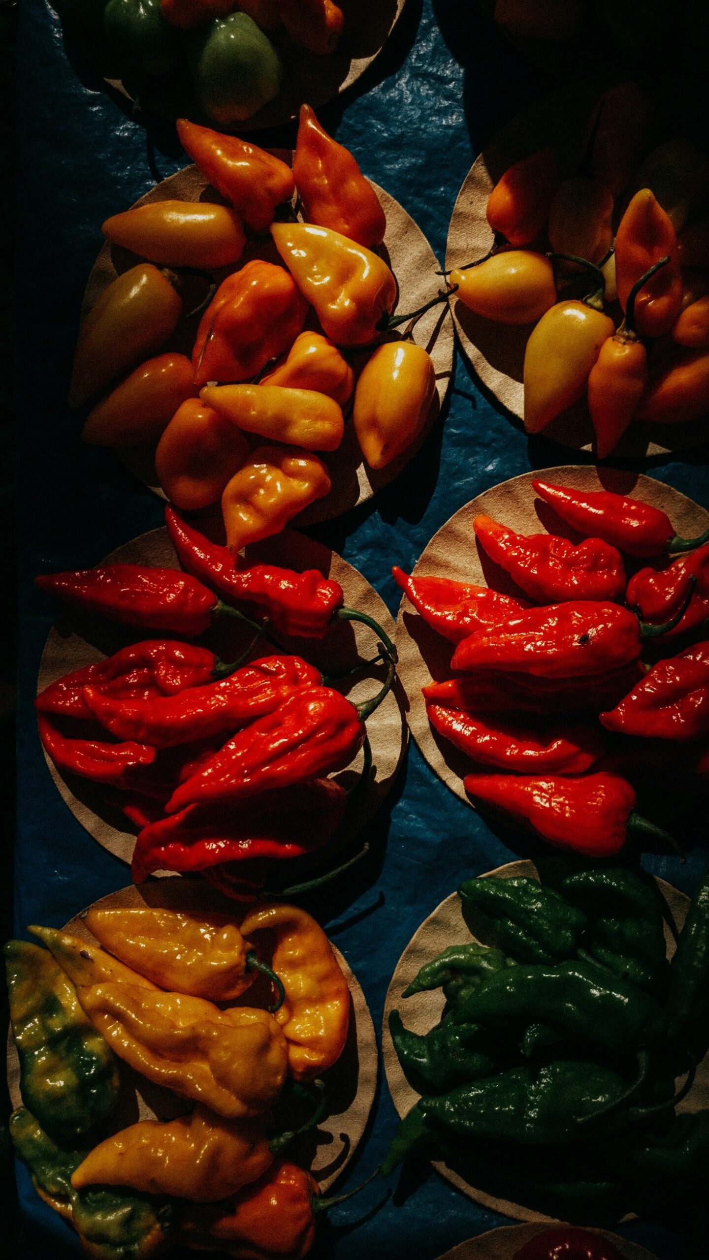 5 Ways to Use Pickled Vegetables in Your Cooking